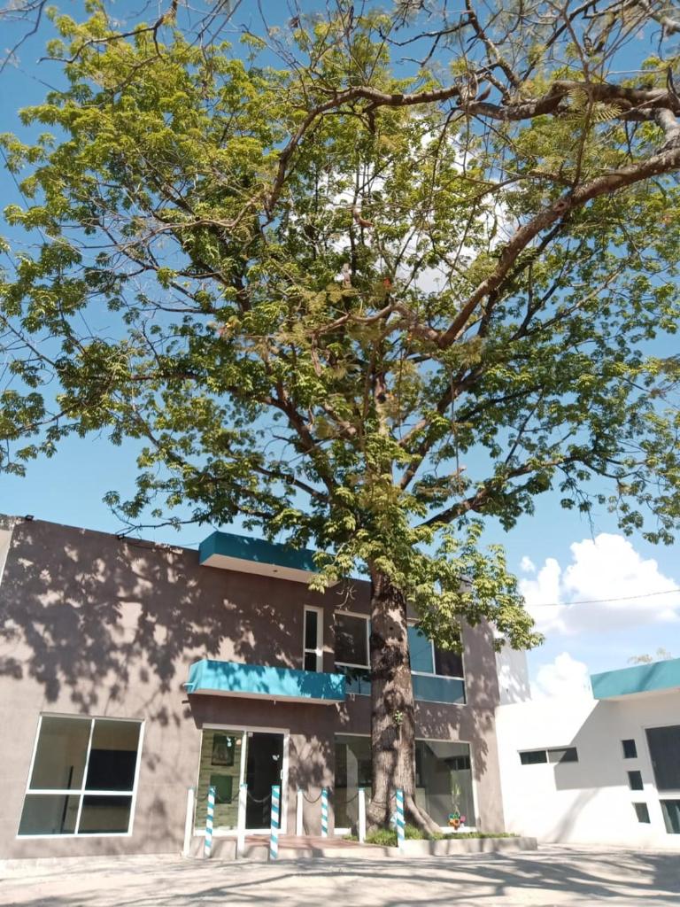 Hotel Popeye photo 4