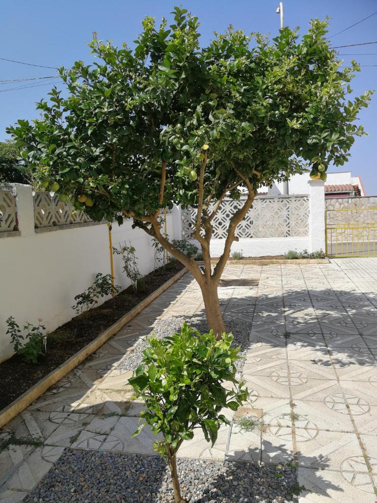 Villetta da Carla photo 4
