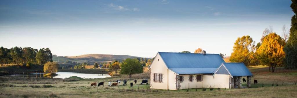 The FarSide Dam Cottage photo 4