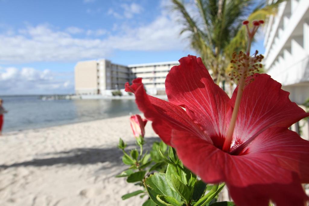Princess Bayside Beach Hotel photo 1