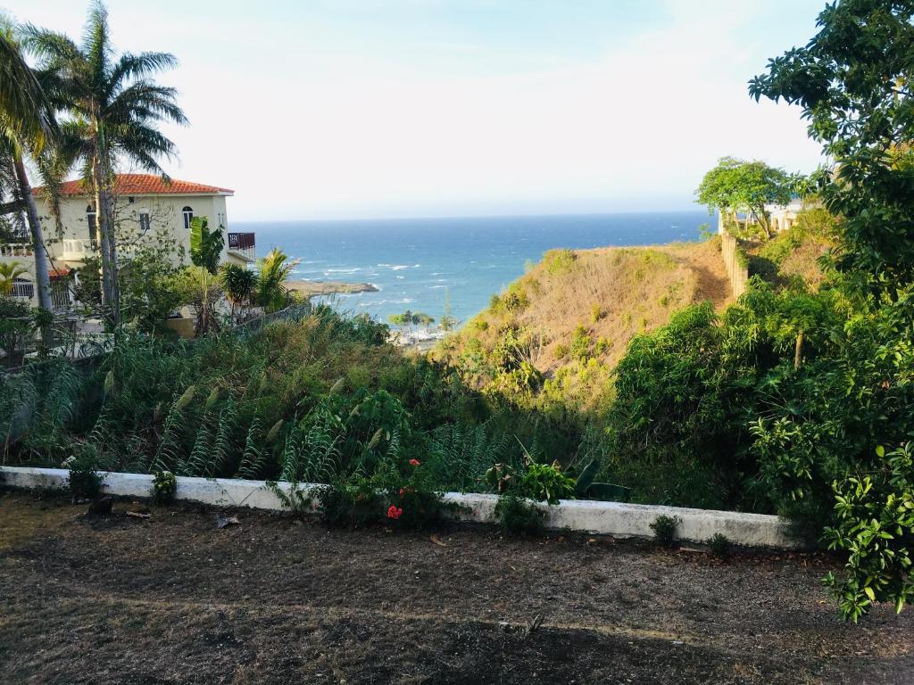 Peaceful Ocean View Studio photo 1