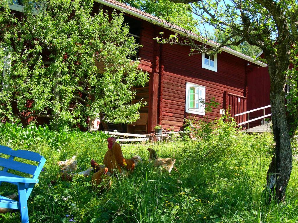 Wiborggården Bed and Breakfast photo 2