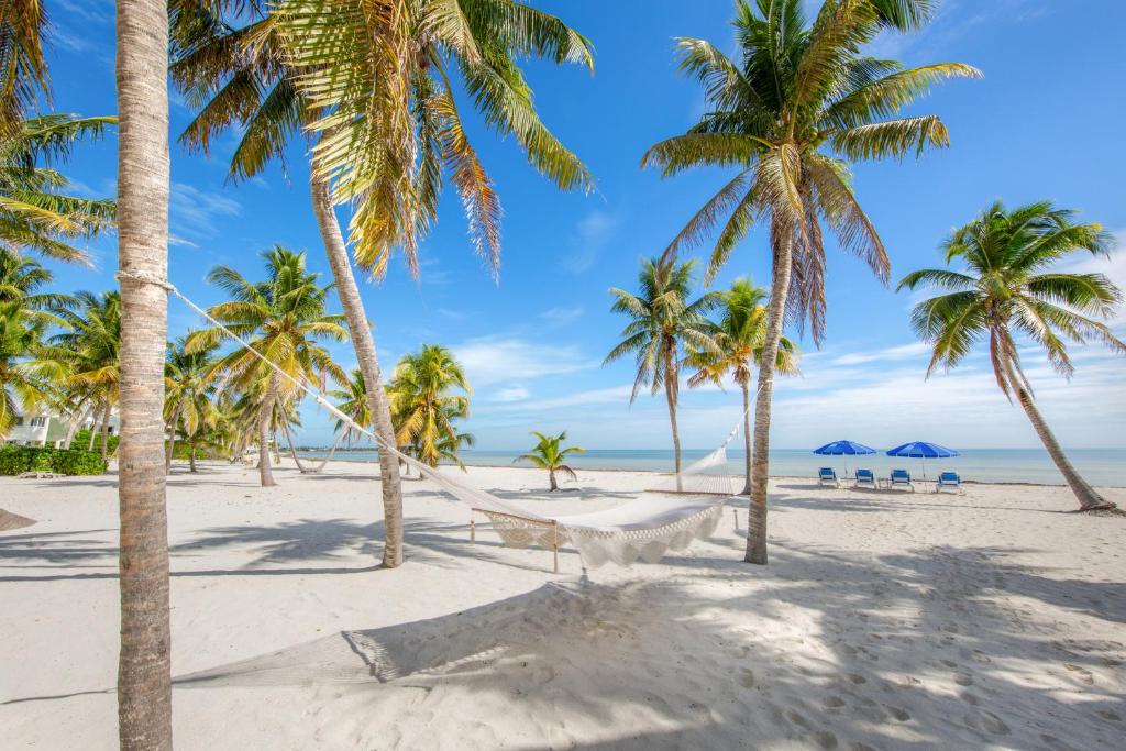 Paradise Beach photo 1