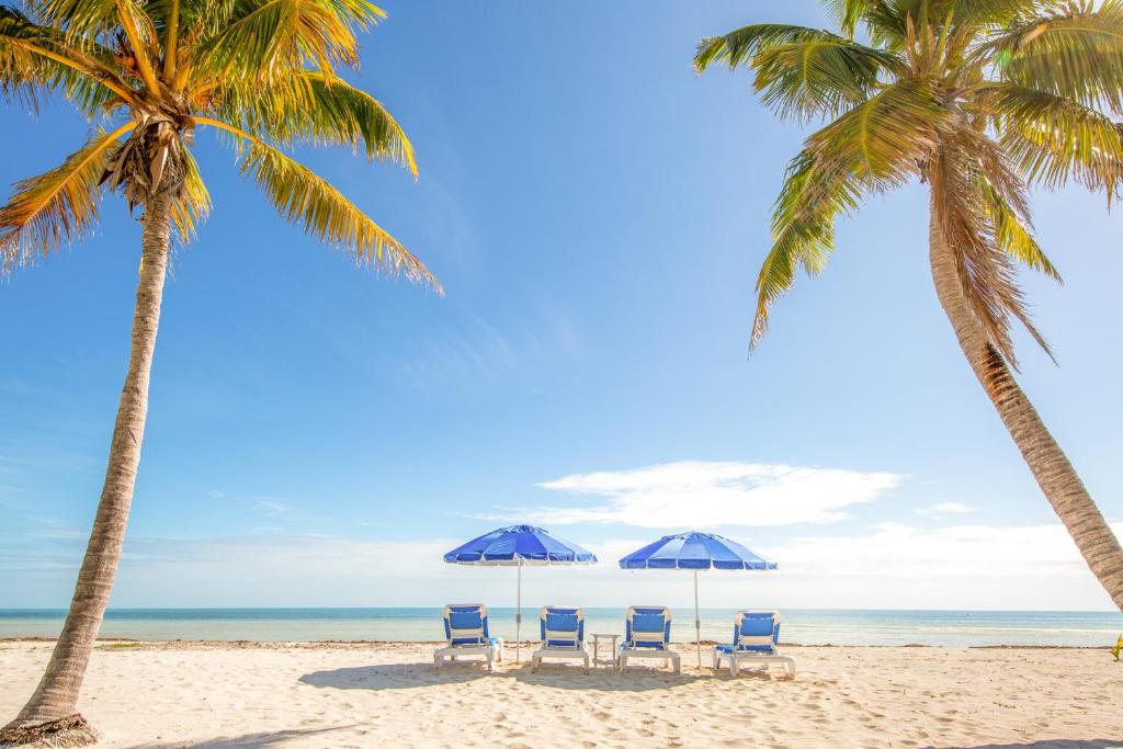 Paradise Beach photo 3