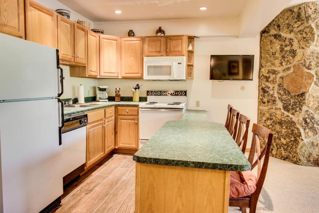 Cozy Slopeside Condo photo 4