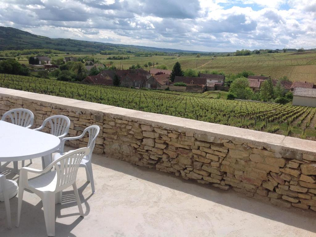 Au Pied des Vignes photo 1