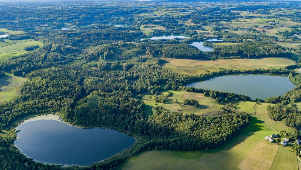 Mały Kaletnik photo 3