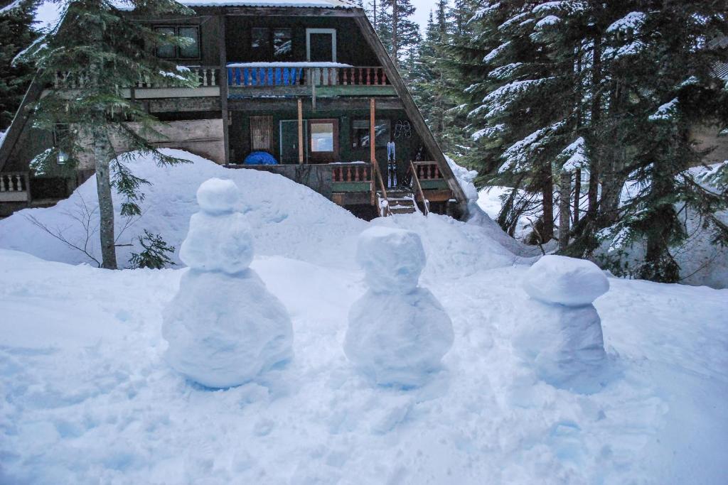 Hyak Duplex Cabin photo 2