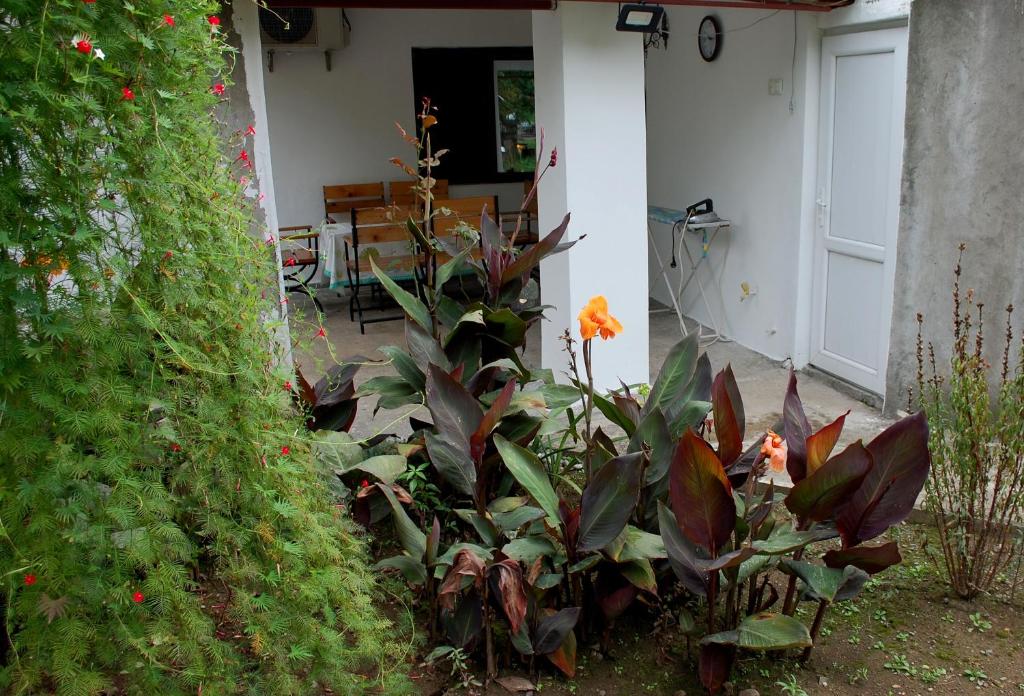 Apartment "Ceazars" photo 4