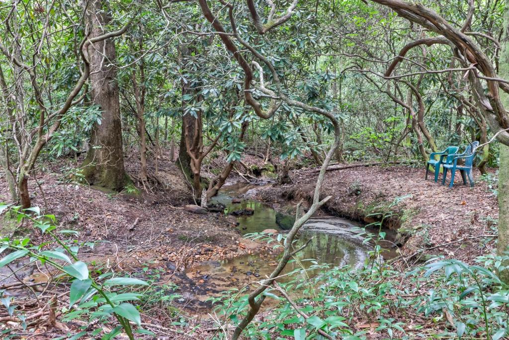 Four Cubs in the Creek photo 3