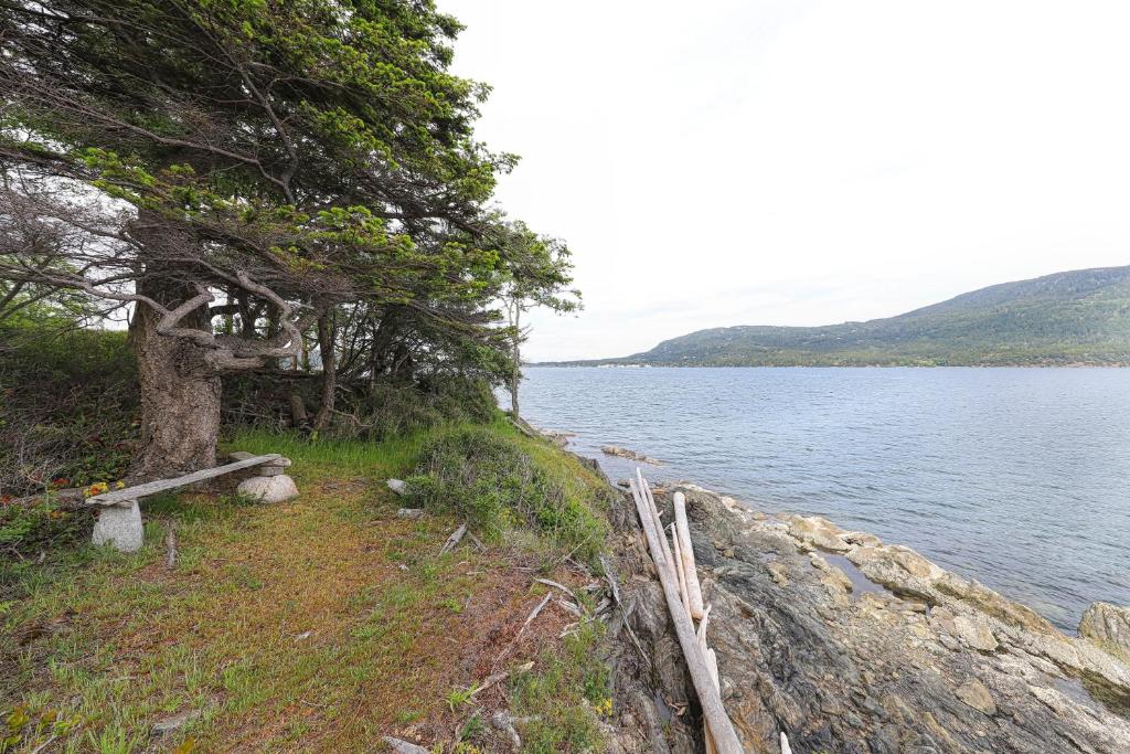 Lohman Lookout photo 3