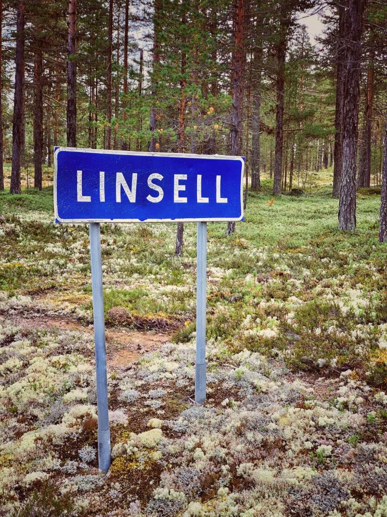 Linsell photo 4