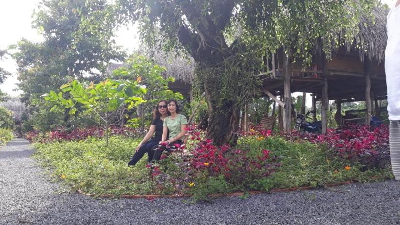 Sunny Field Eco Stilt House