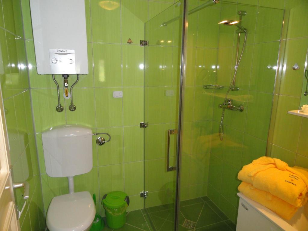Korošec Apartments and Wellness Centre photo 1