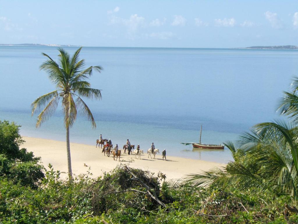 Archipelago Resort photo 4
