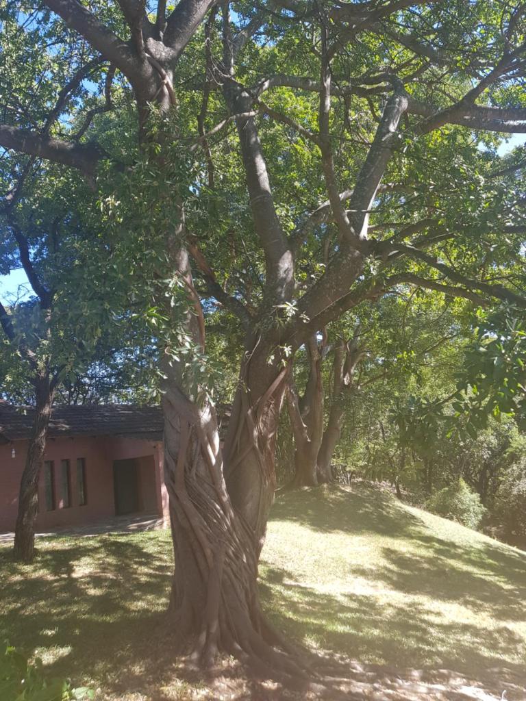 Nyangombe Backpackers photo 2