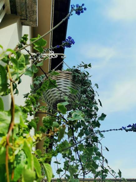Il Cortile photo 4