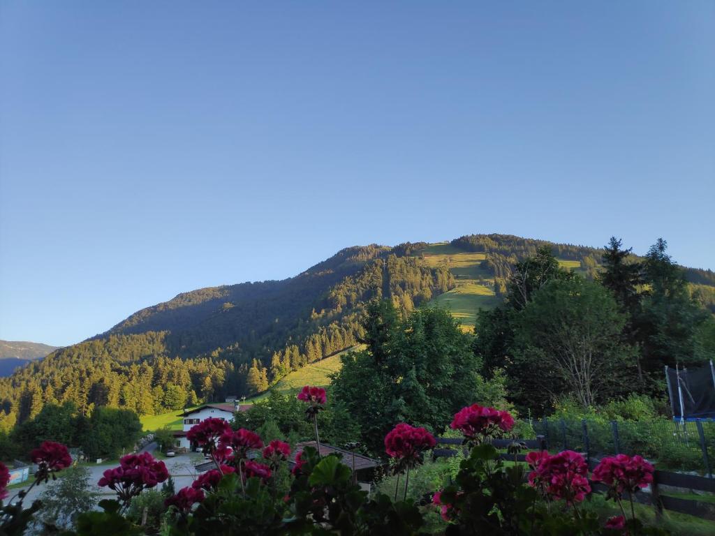 Appartement Unterbergblick photo 4