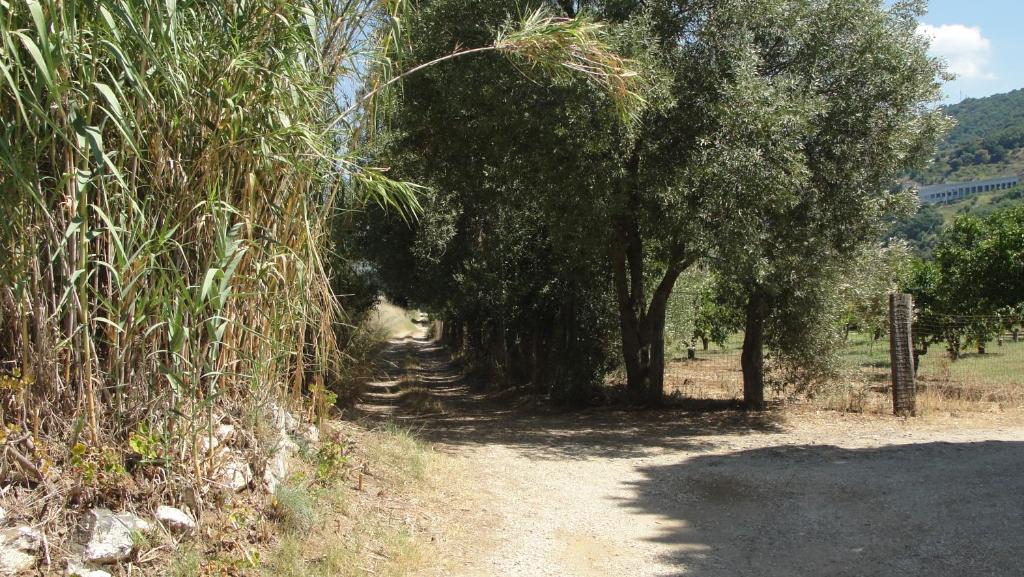 Villa Primaluce photo 4