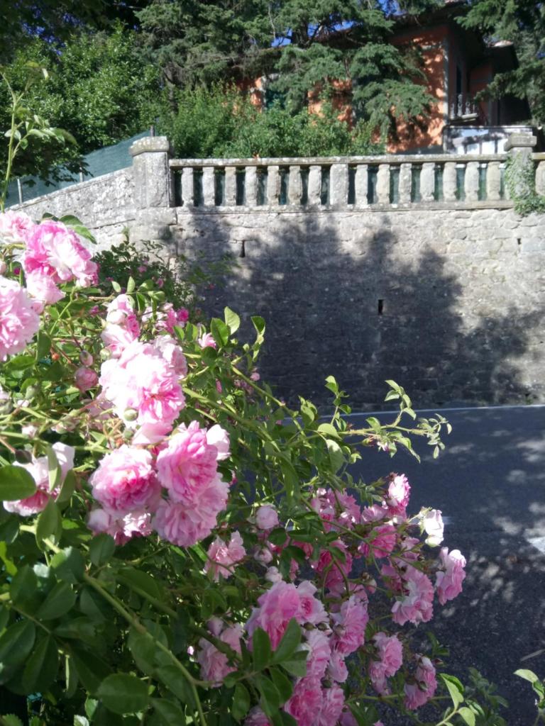 CASA BARTOLACCI COZY APARTMENT (NEAR FLORENCE CITY CENTER) photo 2