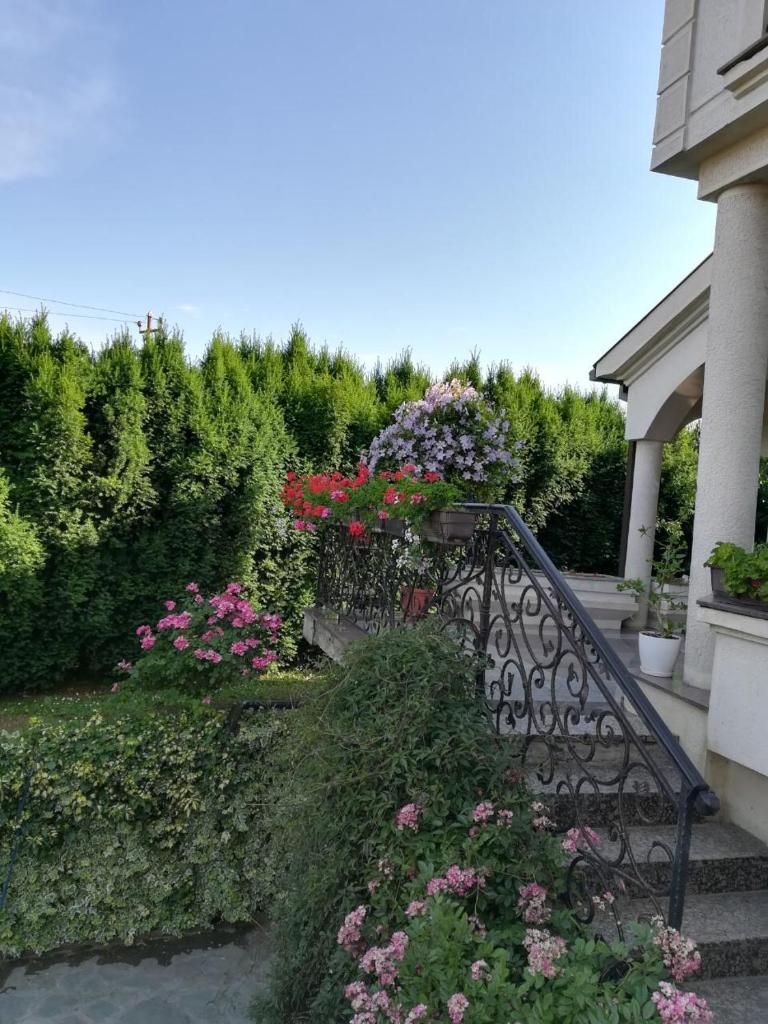 Vila Sentić photo 2