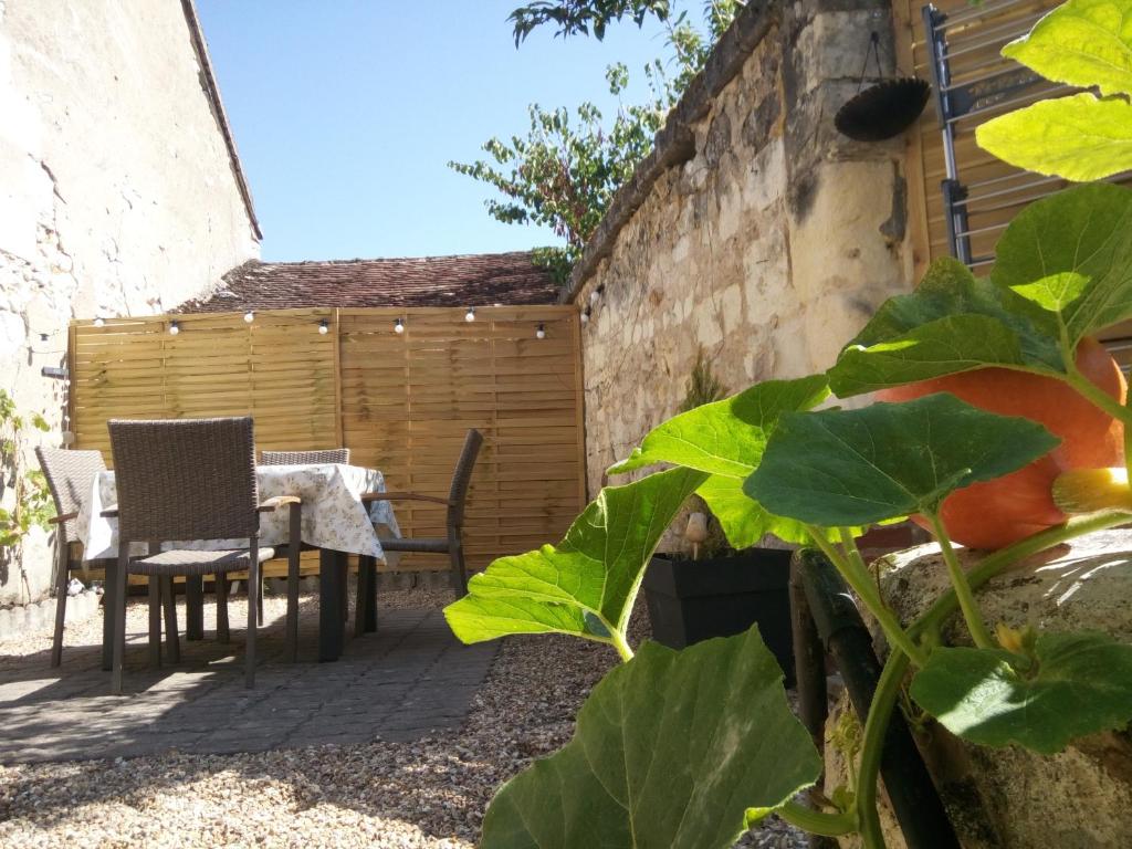 Mini Tribu de Beauval 2ch Saint Aignan jardin et parking privé photo 2