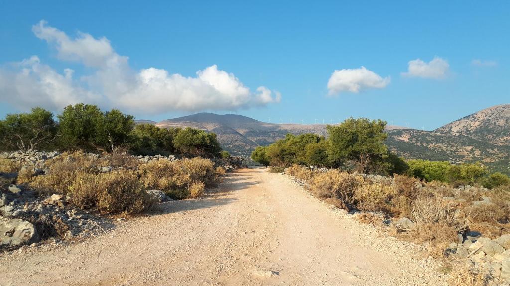 Art Studio Kefalonia photo 4