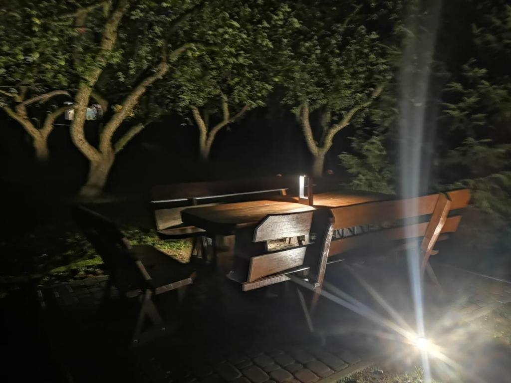 Na skraju lasu photo 2