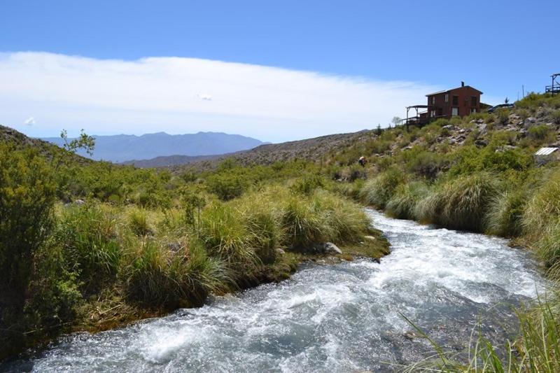 Las Margaritas photo 4