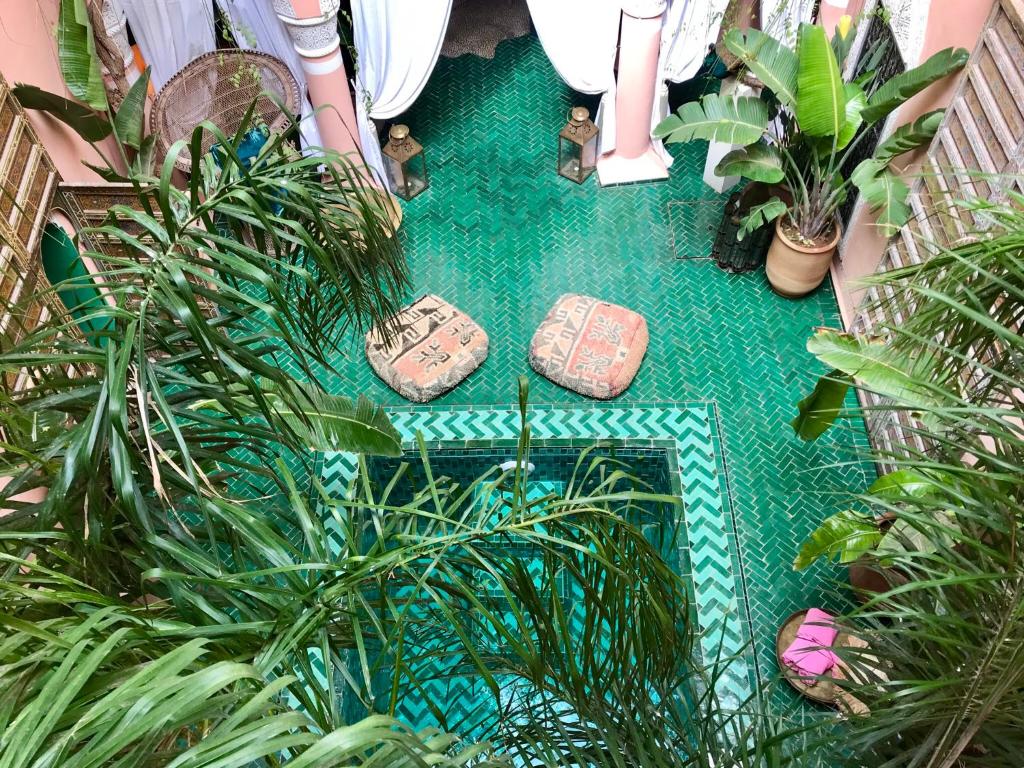 The Bohemian Jungle photo 4