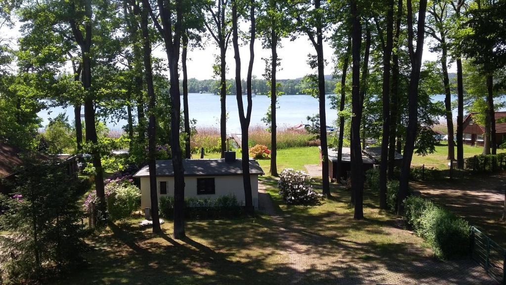 Ferienwohnung direkt am See photo 2