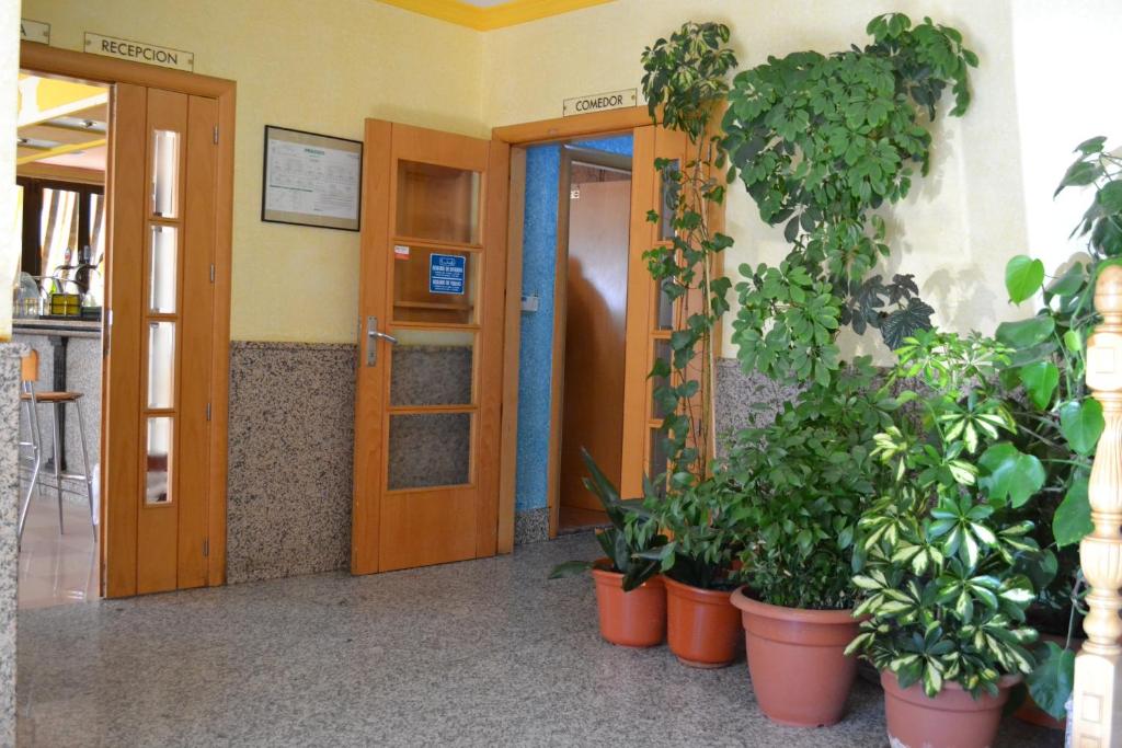 Hostal Vadillo photo 3