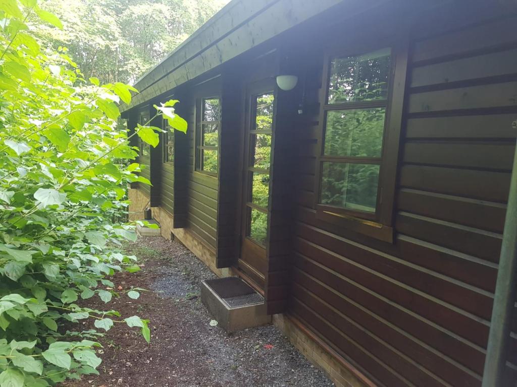 Bungalow; Haus 111 Ferienpark Twistesee, Bad Arolsen photo 1