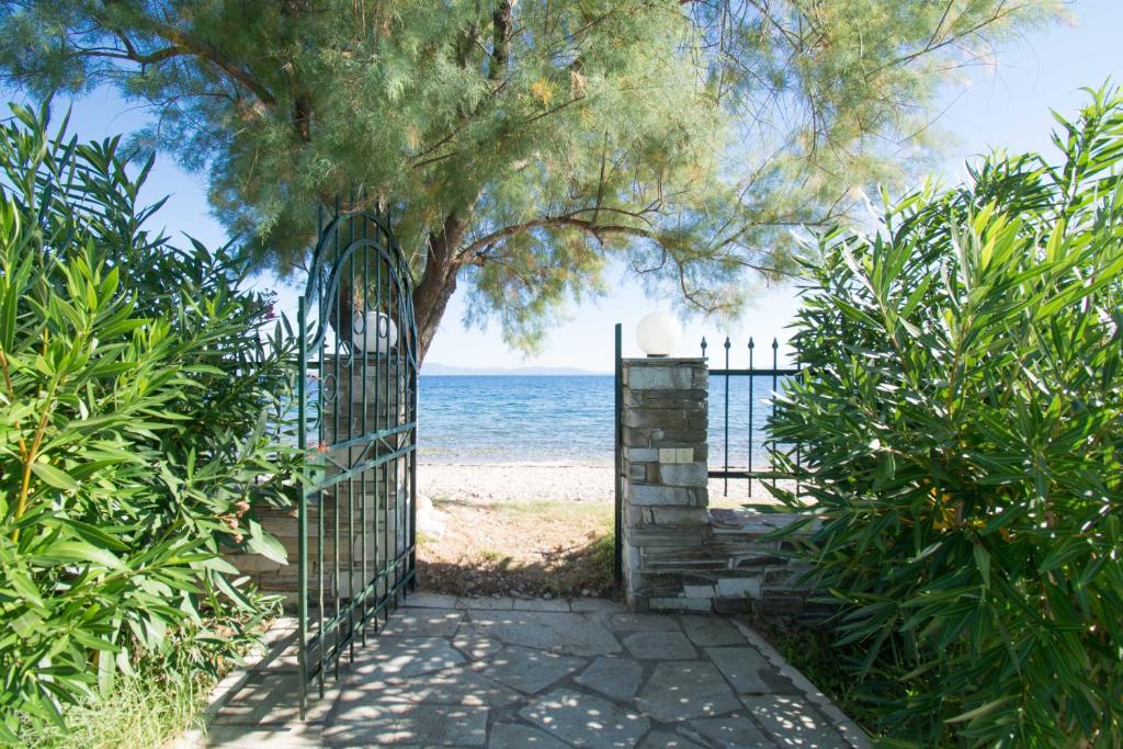 Romantic Seafront Studio - Dream Garden photo 3
