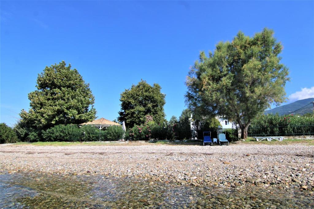 Romantic Seafront Studio - Dream Garden photo 2