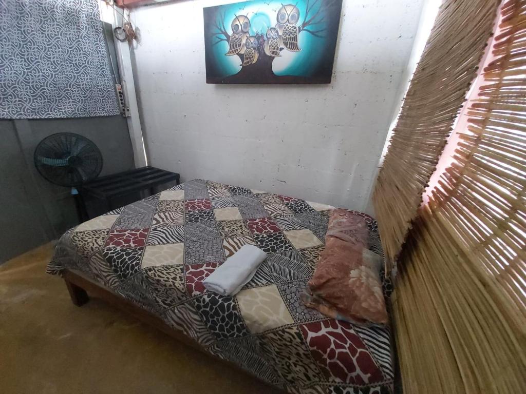 Delmar Hostal photo 3