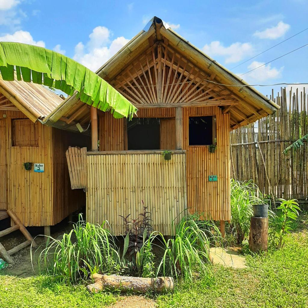 Banana Grove El Nido photo 1