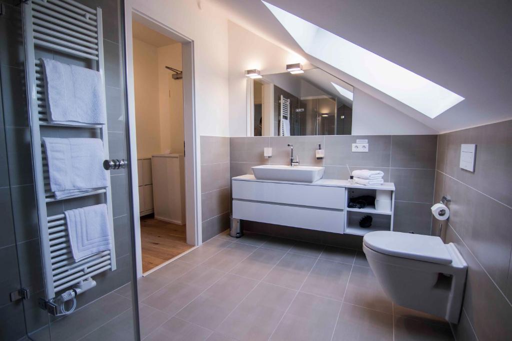 Сьюит (Люкс на крыше), Helvetia Suites