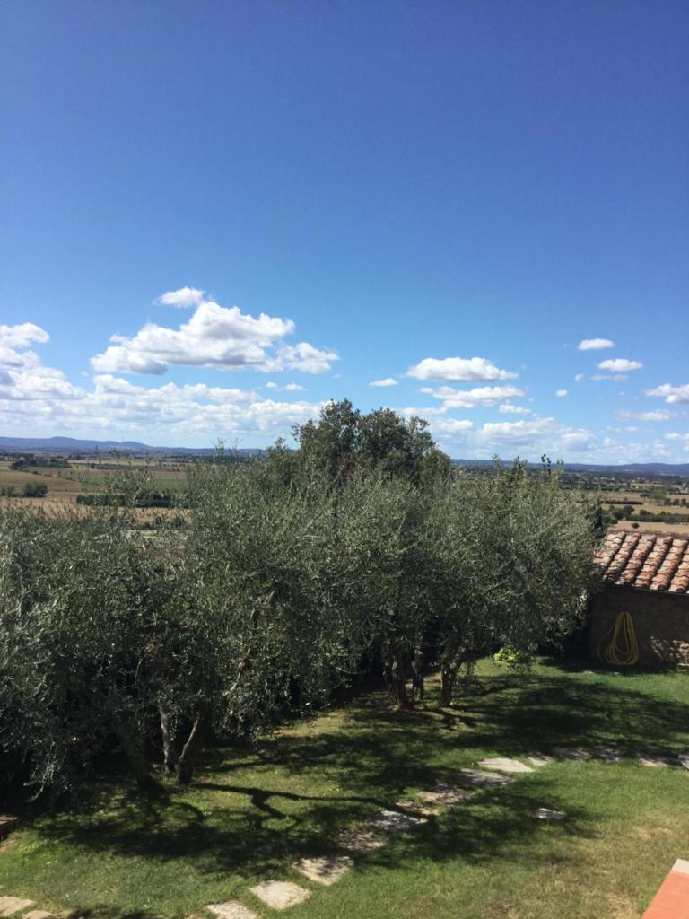 Agriturismo Borgo tra gli Olivi photo 4