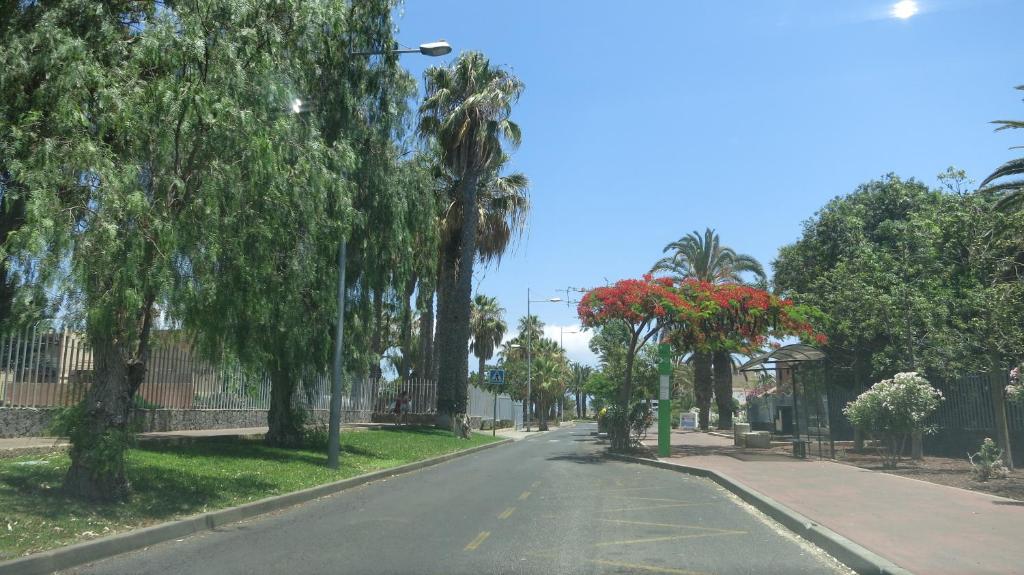 South Tenerife 471 - Tap to explore photos
