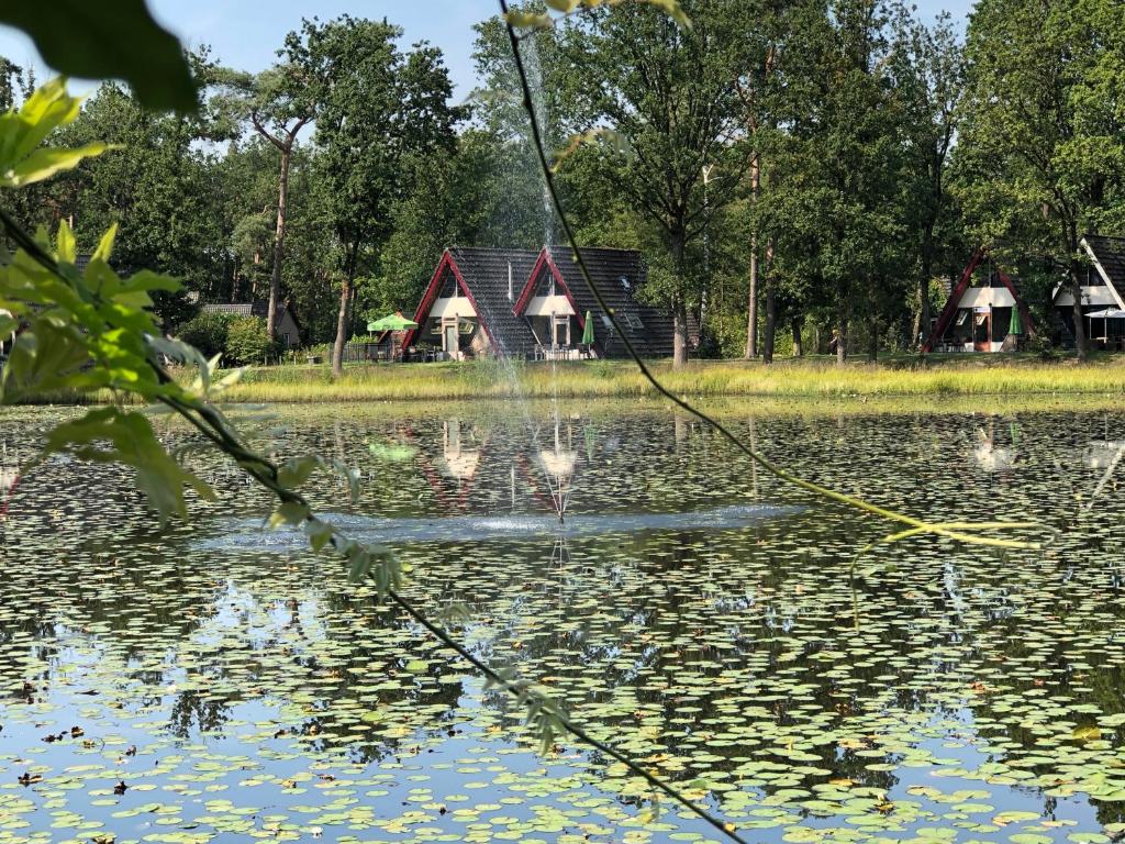 't Vosseven vakantiehuizen photo 4