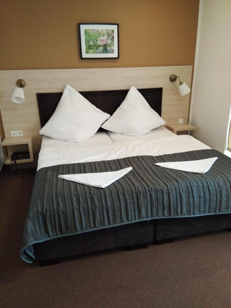 Двухместный (Двухместный номер с 1 кроватью), Hotel Denbu