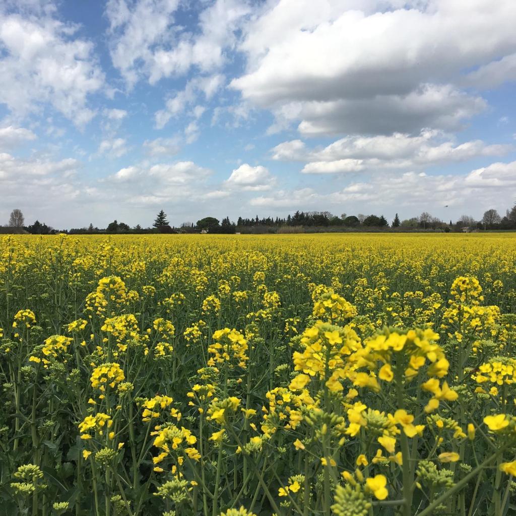 Villa Bastidons des anges - 수페리어 빌라
