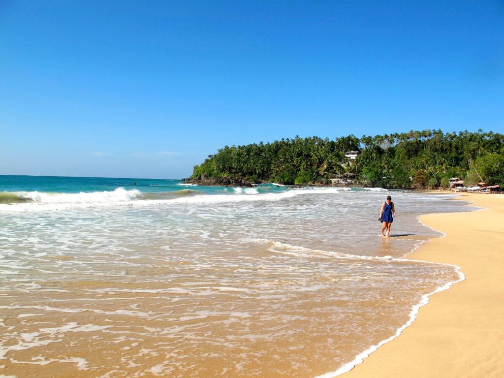 Coconut Hill Homestay photo 3