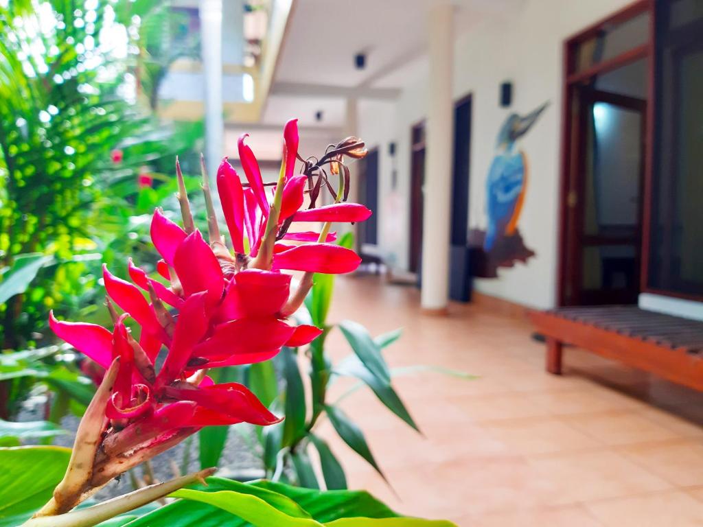 Villa Bentota River View photo 3