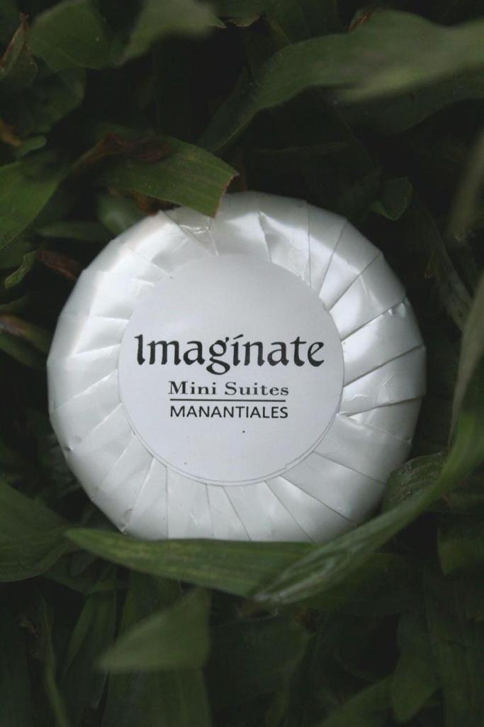 Imaginate photo 4