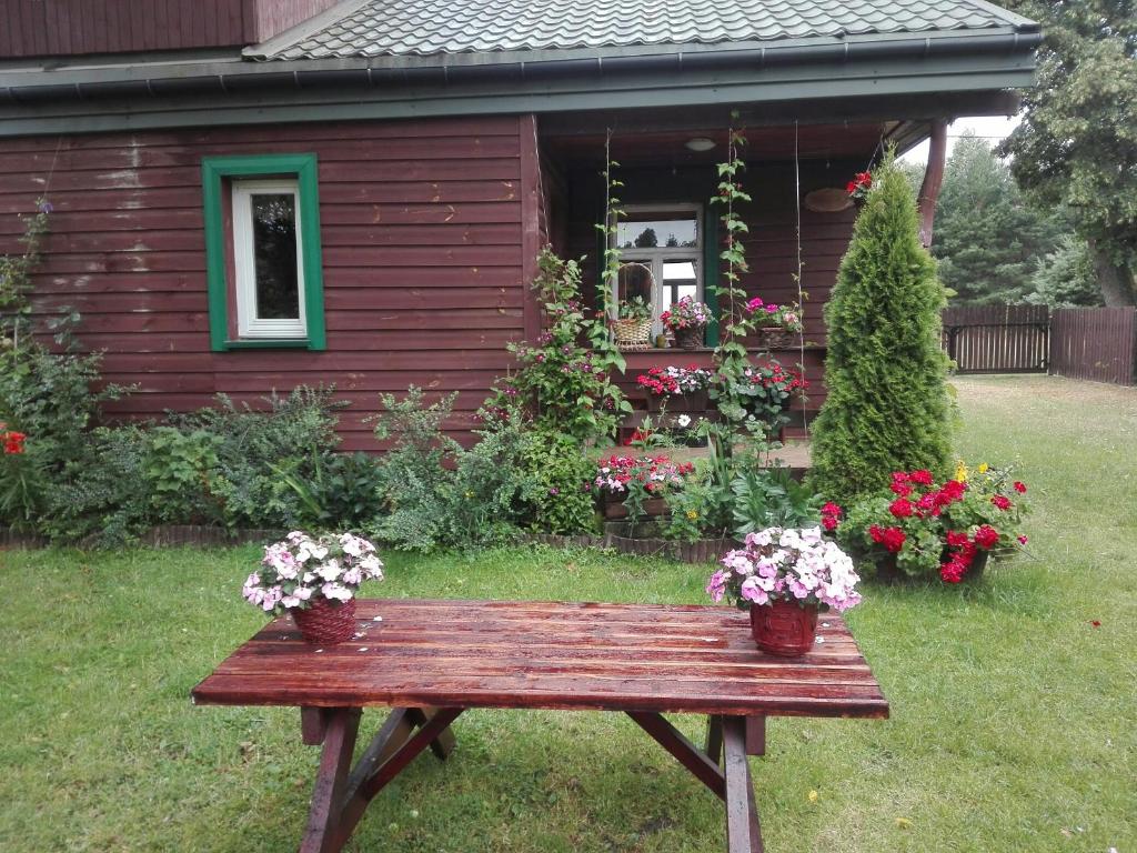 Dom na skraju Puszczy Białowieskiej photo 4