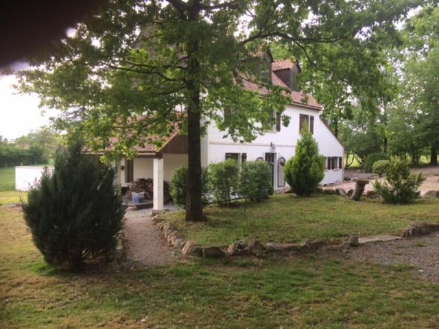 The Lodge photo 2
