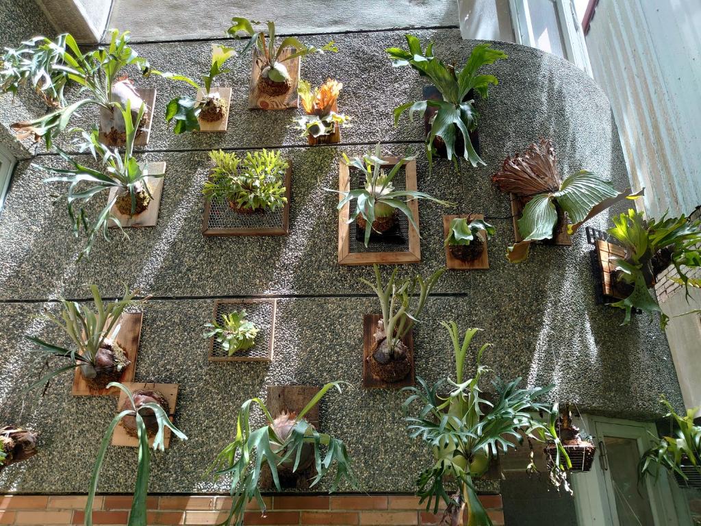 Lost and Find Homestay photo 1