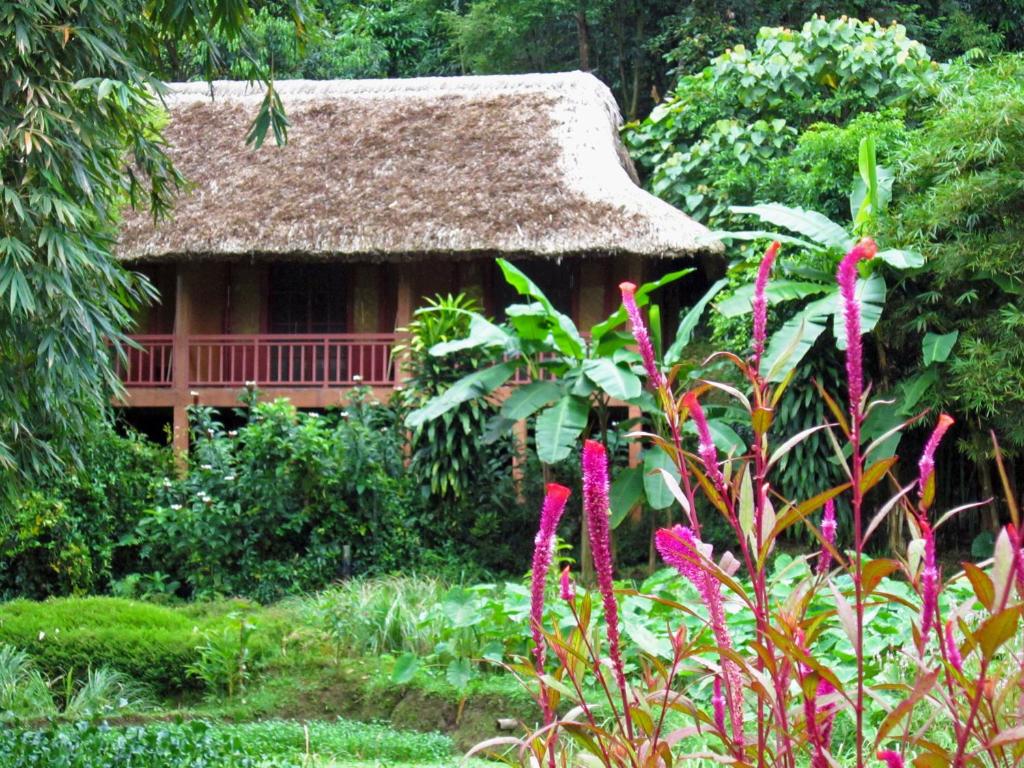 Ecolodge Pan Hou Village